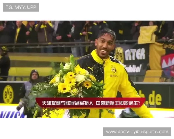 汉堡1-1多特,升班马展现保级决心 汉堡1-1多特,升班马展现保级决心